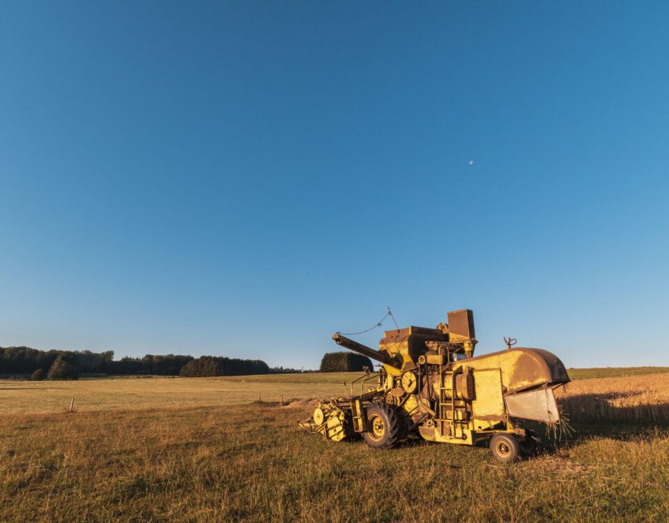 trailer-transport-utilaje-maramures-3